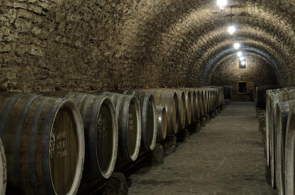 Hotel Prince Trubetskoi Winery Nova Kachovka Exteriér fotografie